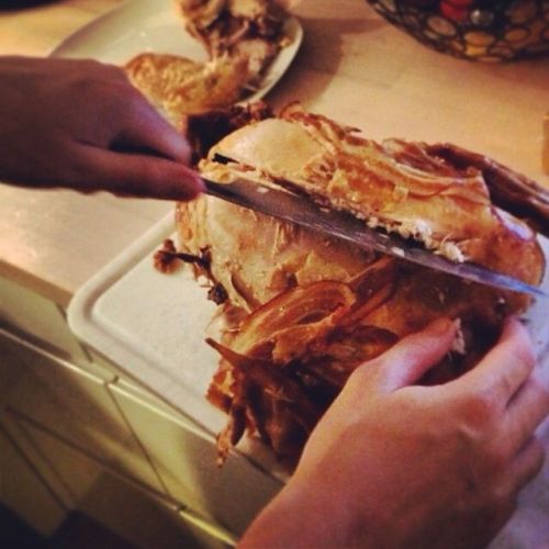 altAu46xf3Pf6BBZxQpB_0VZWW2EdjssqlXdGLkdWmPl22B_jpg(1)